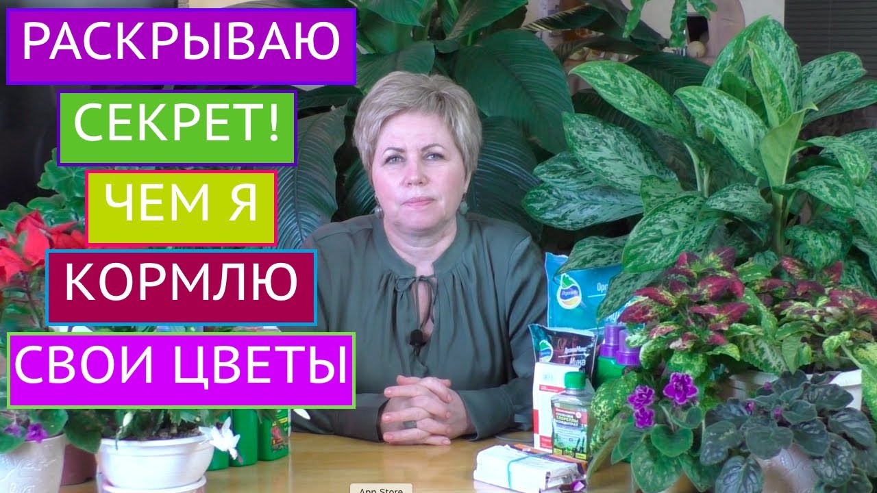 ЛУЧШИЕ ПОДКОРМКИ ДЛЯ ДОМАШНИХ ЦВЕТОВ! ПИТАТЕЛЬНЫЕ КОКТЕЙЛИ НА ЛЮБОЙ КОШЕЛЕК!