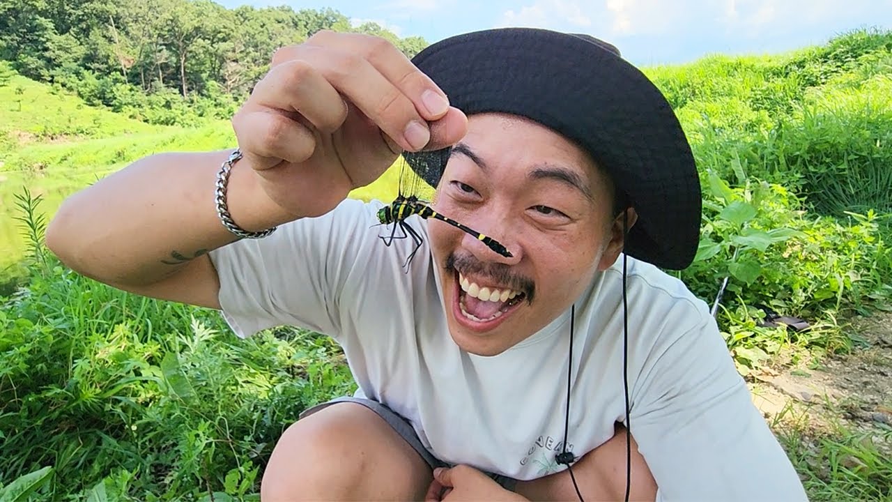 우리나라에서 가장 큰 잠자리를 잡아서 먹어보겠습니다...