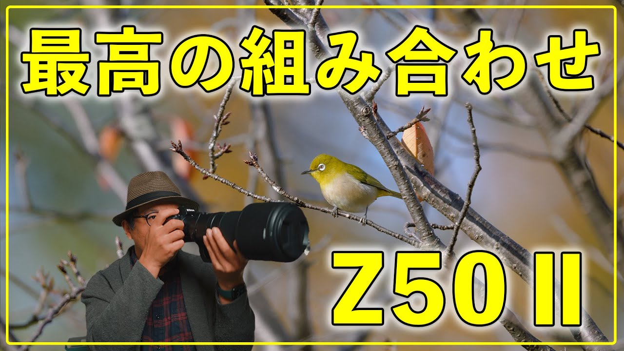 【Nikon】Z50Ⅱに最高の組み合わせのレンズ！これはいい！