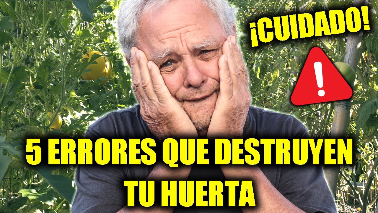 5 ERRORES que DAÑAN tu HUERTA y CÓMO EVITARLOS! - Guía Básica