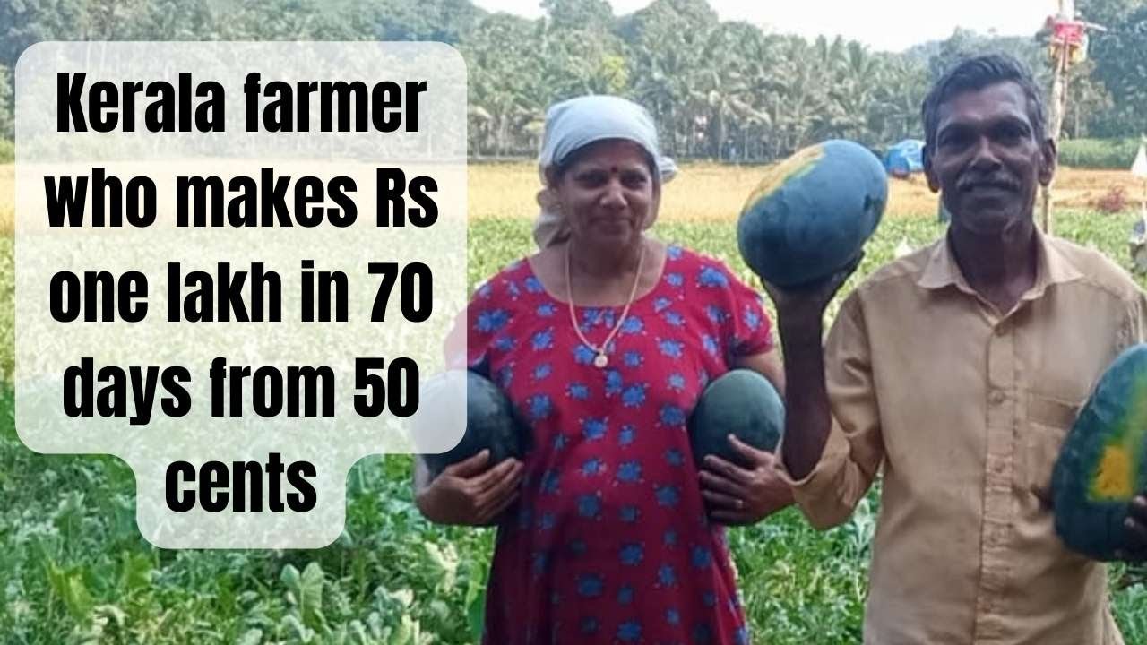 The Kerala farmer makes Rs one lakh in 70 days from 50 cent land