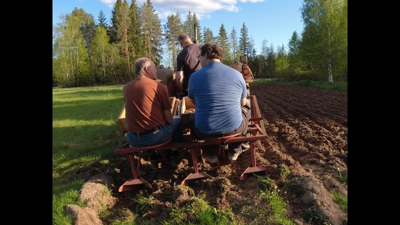 Tisdag 2025 05 20 Årets plantering av potatis och maltkorn