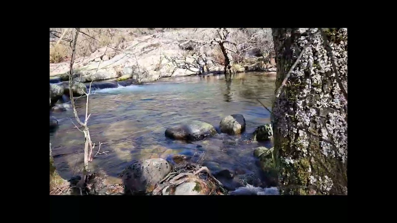 Así habla Dios 1 marzo 2026