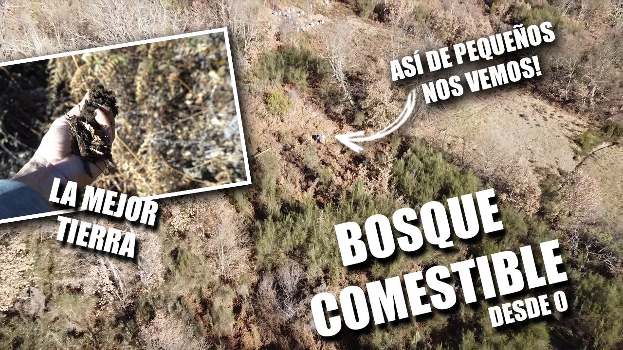 Como hacer un BOSQUE COMESTIBLE desde 0! Nos acercamos a la PERMACULTURA con un proyectazo Parte 1