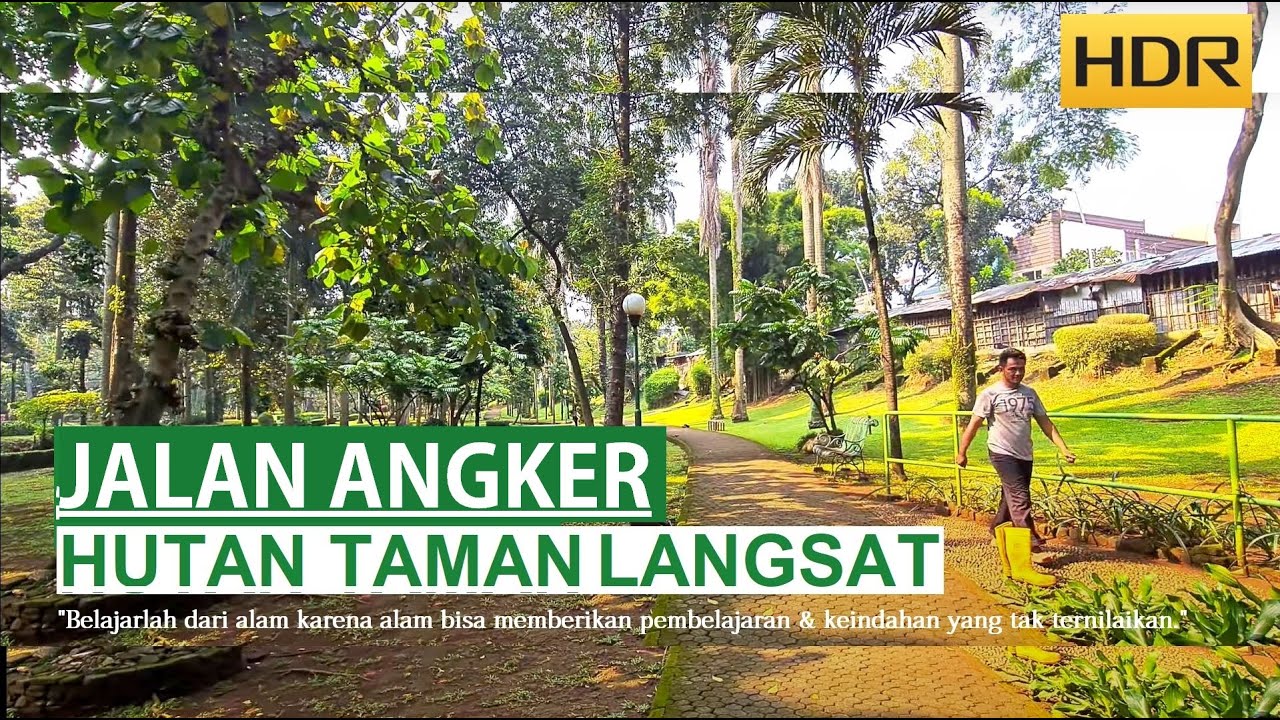 Walking Around 🏞 Taman Langsat ~ Cerita Kuntilanak & Genderuwo di Taman Langsat yang Masih Misterius