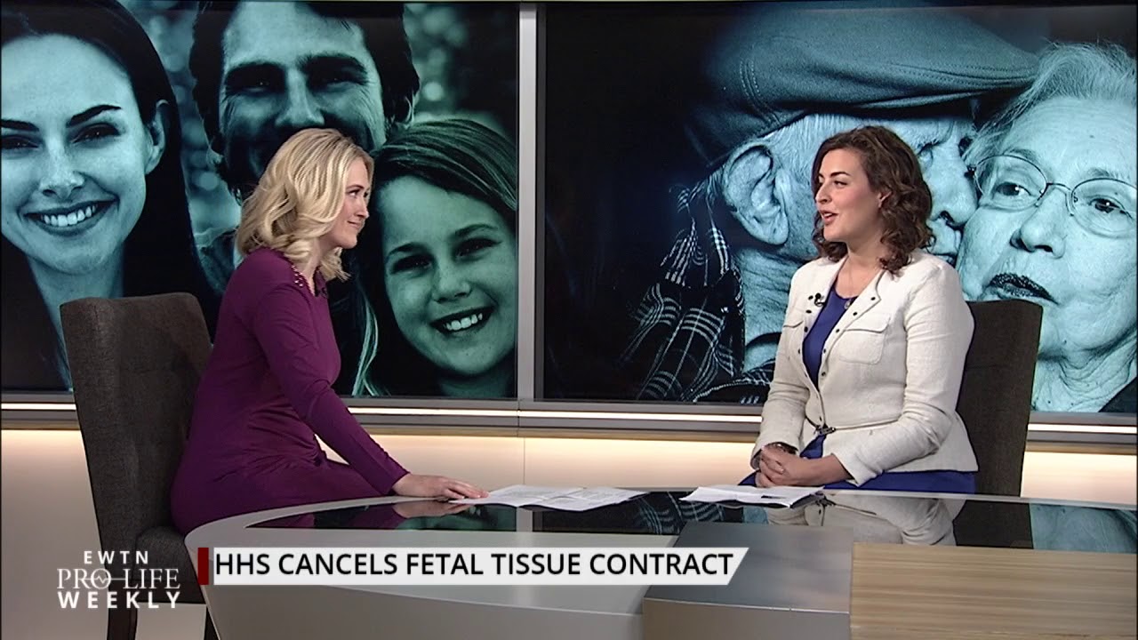 Trump Administration Cancels Fetal Tissue Contract