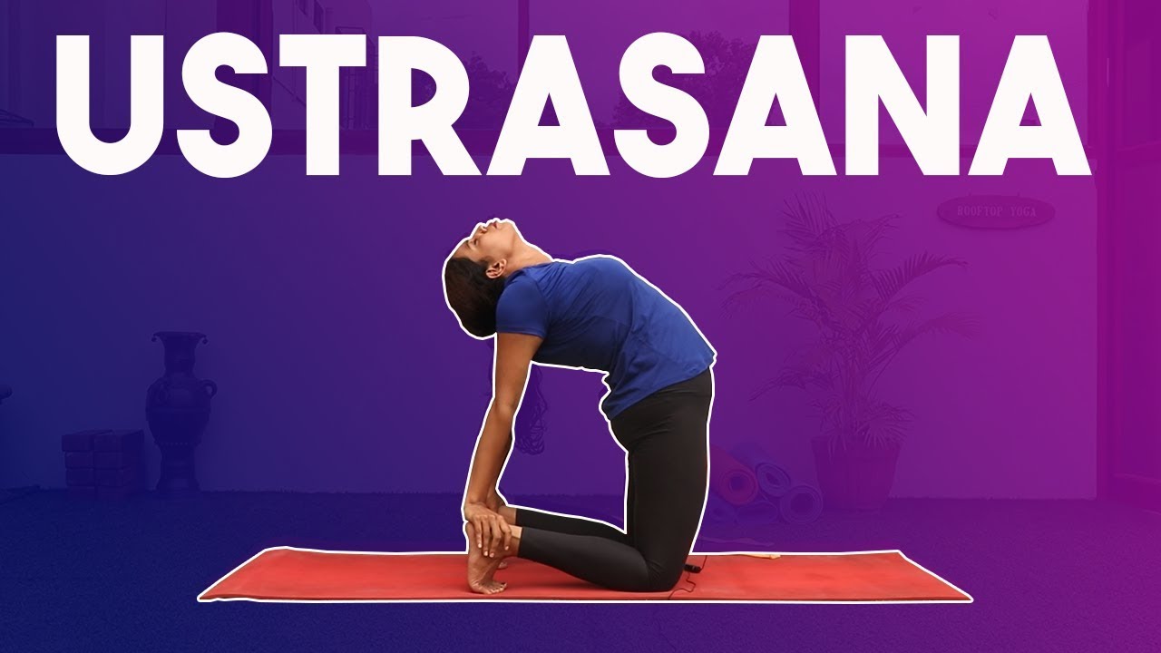 How to do Ustrasana perfectly | Yoga for Beginners