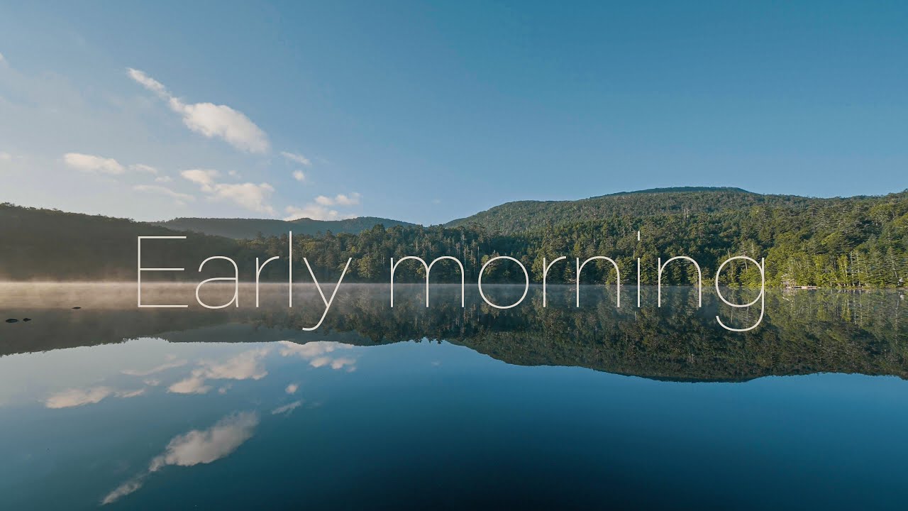 4K【Early morning】RELAX POV MONONOKE Forest - Shirakoma Pond walking 早朝の もののけ の森 白駒池 高見石まで ハイキング 散歩