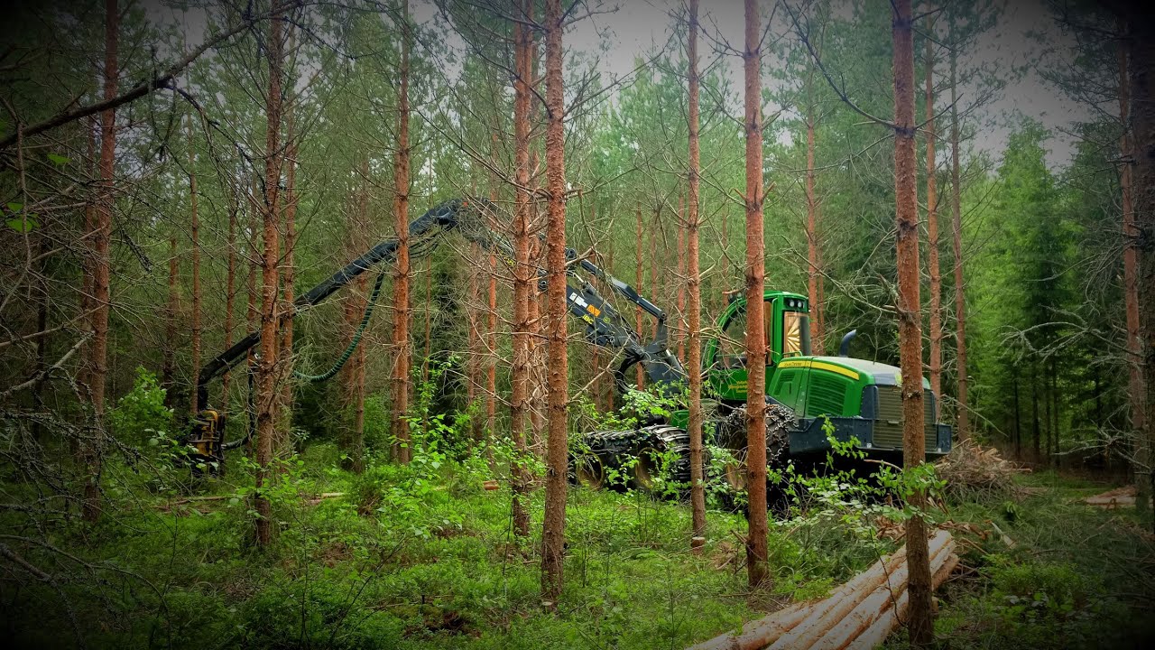 Veljekset Kimpanpää Oy:n JD 1170G mäntyharvennuksella.