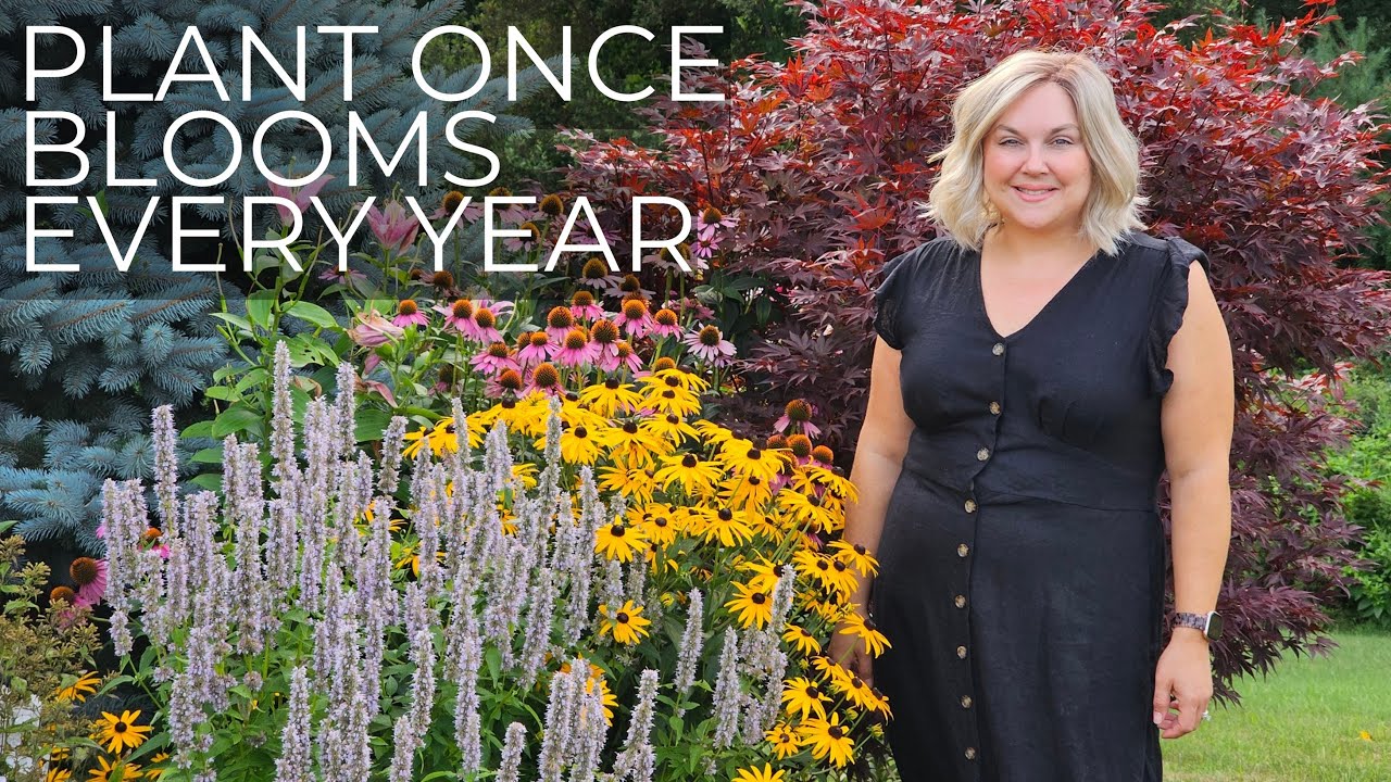 My 5 Must-Have Perennials (Perfect for Any Garden!)