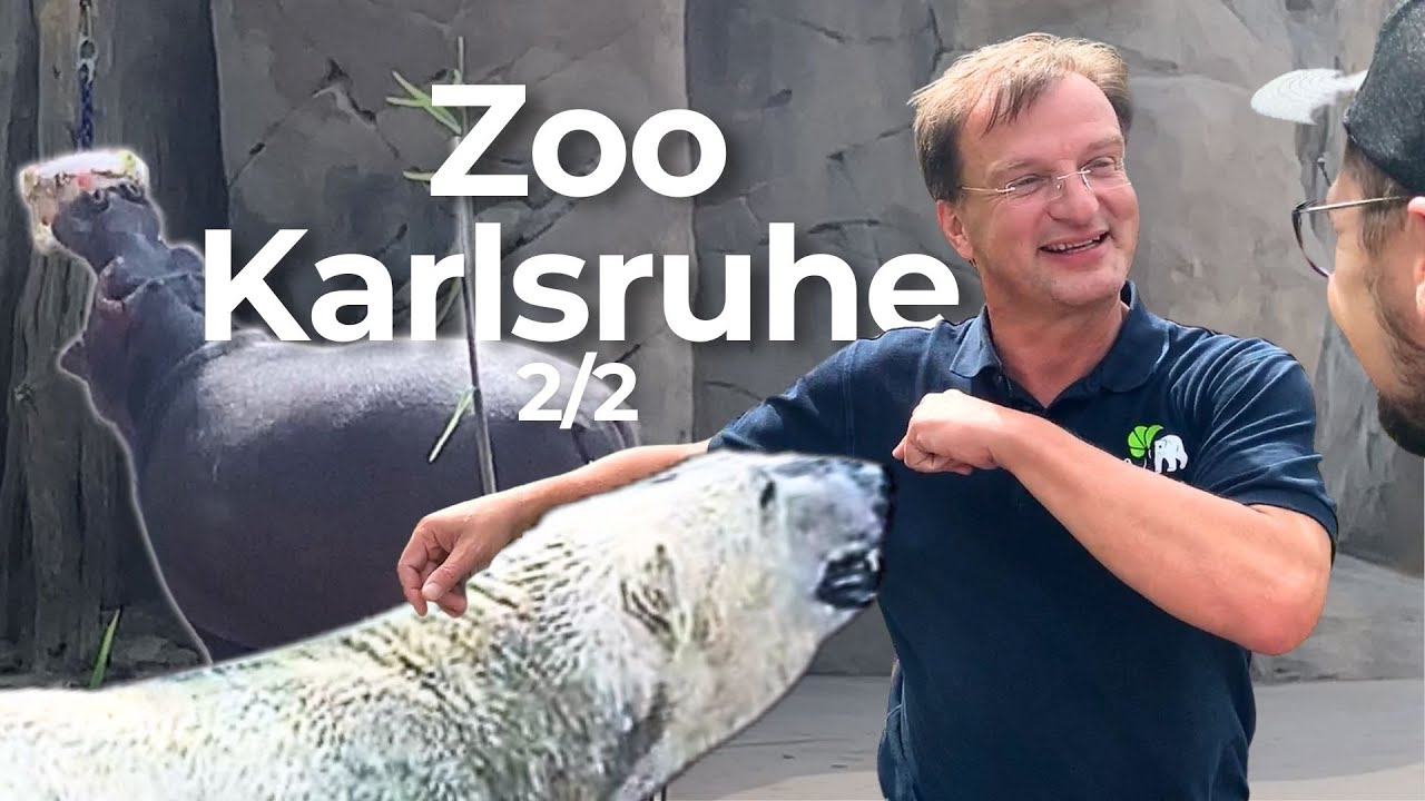 Zoo Karlsruhe - Hinter die Kulissen | Folge 2 von 2
