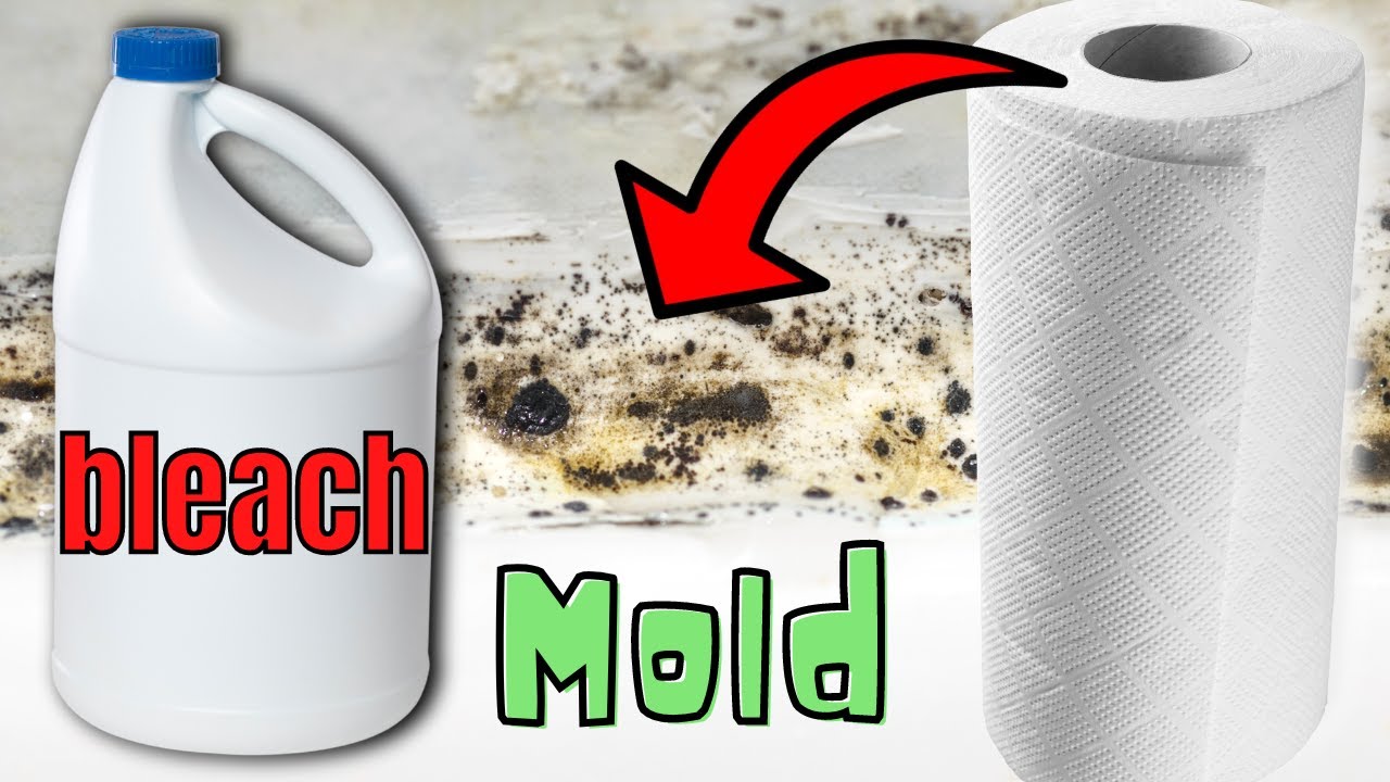 How I FINALLY Cleaned Mold (😳 and the popular cleaning hack that doesn&rsquo;t work)