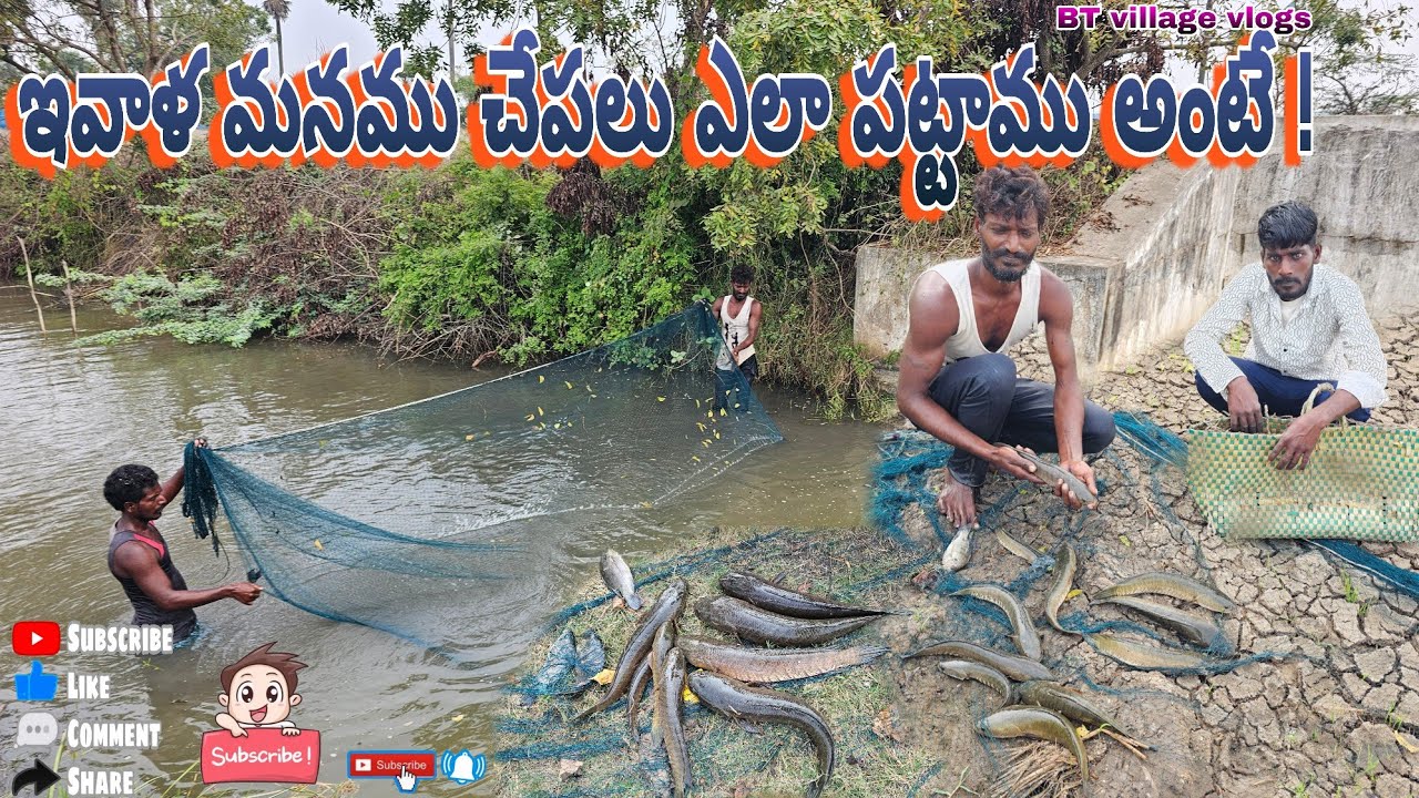 ఇవాళ మనము చేపలు ఎలా పట్టము అంటే #penumudi #hunting #villagevideos #villagevlogs #dryfish #fishing 