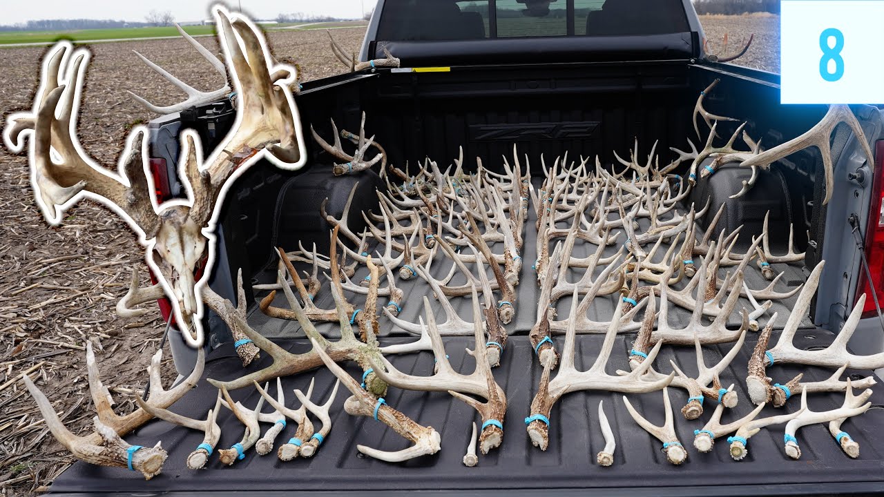 Найдите ОГРОМНОГО самца, 7-летнего оленя и 26 рогов // Shed Hunting 2024 E8
