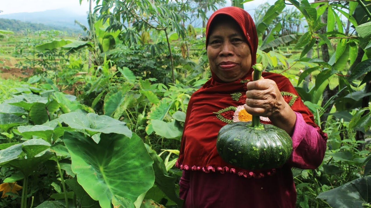 Masak Sayur Labu Ikan Asin Pete Dan Sambal Terasi