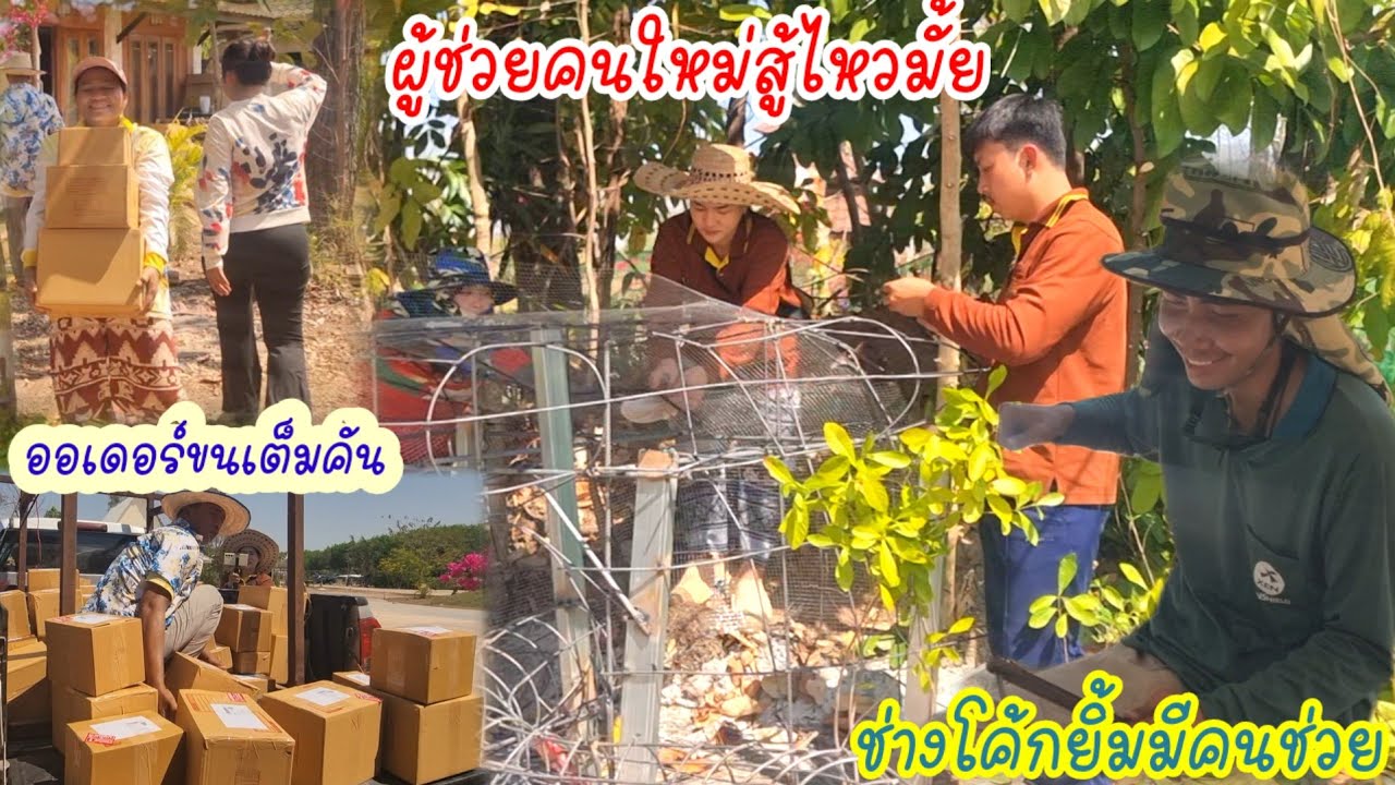 ช่างโค้กดีใจใครมาช่วยขึ้นโครง?ตะลึง!!ขนกันยังไม่หมด,ขอบคุณfcสนับสนุน