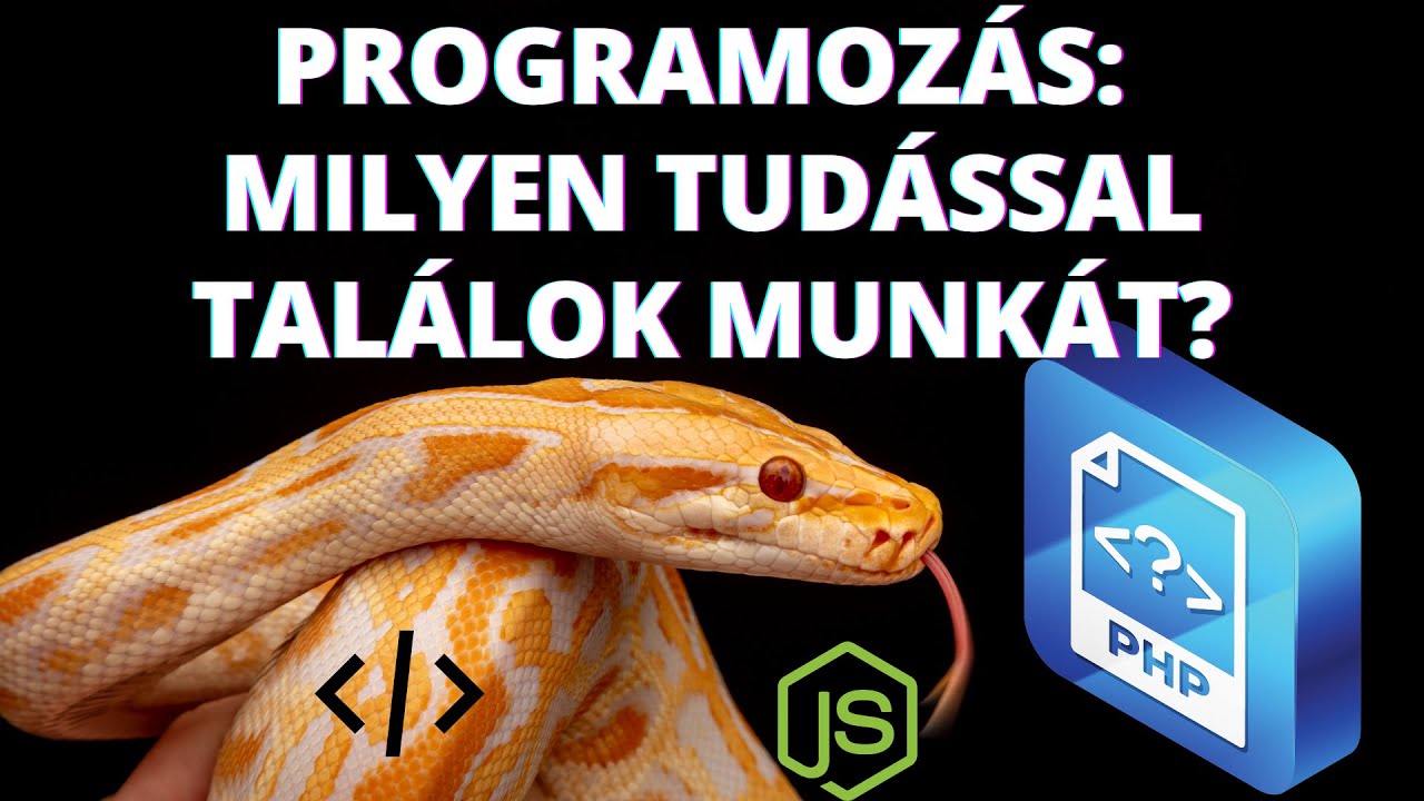 Programozó Karrier kezdőként: Milyen tudással találok munkát? Frontend? Backend? Python vagy PHP?