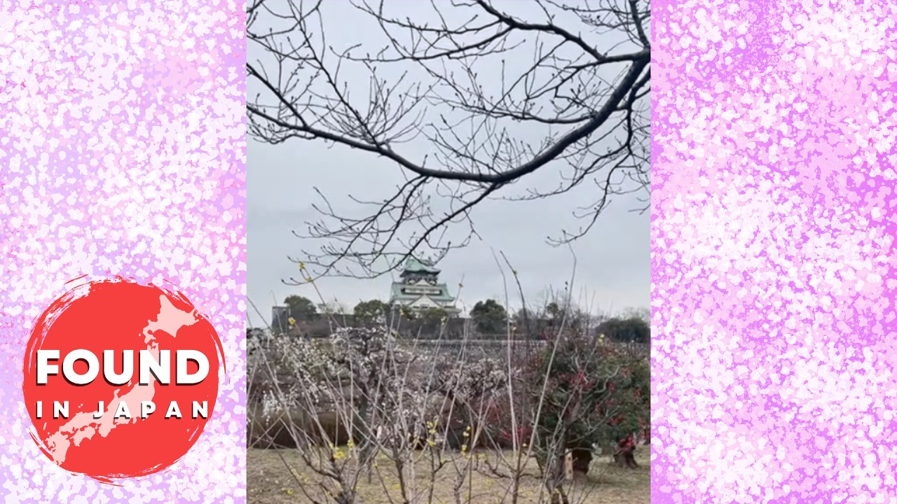 Found in Japan is live! Plum Blossoms at Osaka Caslte