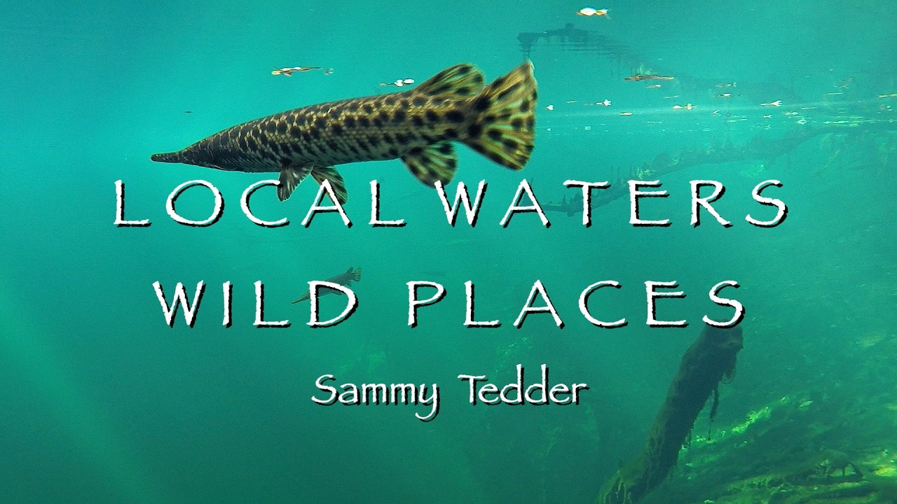 Local Waters - Wild Places