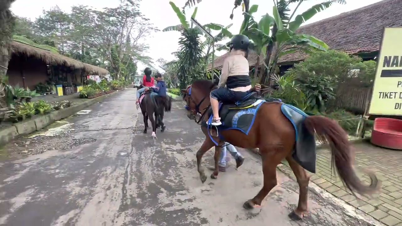 NAIK KUDA DI LEMBANG WONDERLAND