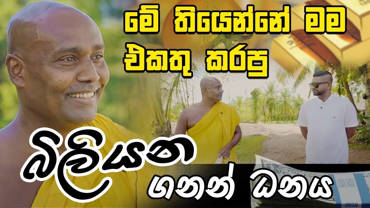මේ තියෙන්නේ මම එකතු කරපු බිලියන ගනන් ධනය