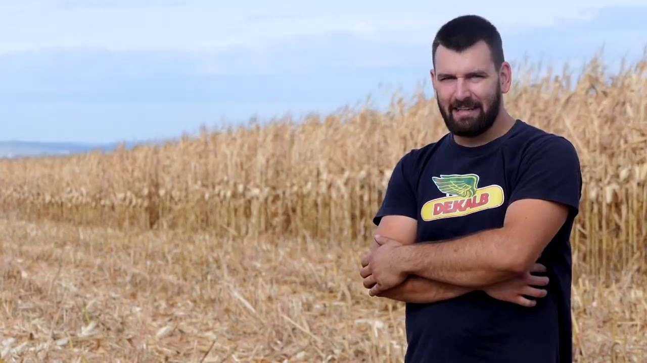 Biram selo ep. 54 30.09.2020. Miloš Stojadinović, Banatski Brestovac, kukuruz, žetva