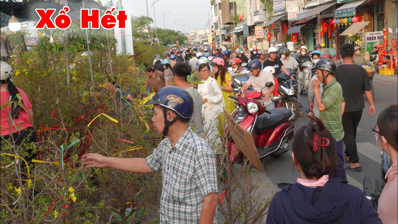 Được đồng nào hay đồng đó nhà vườn xổ hết giá nào cũng bán thách giá gì tầm này nữa