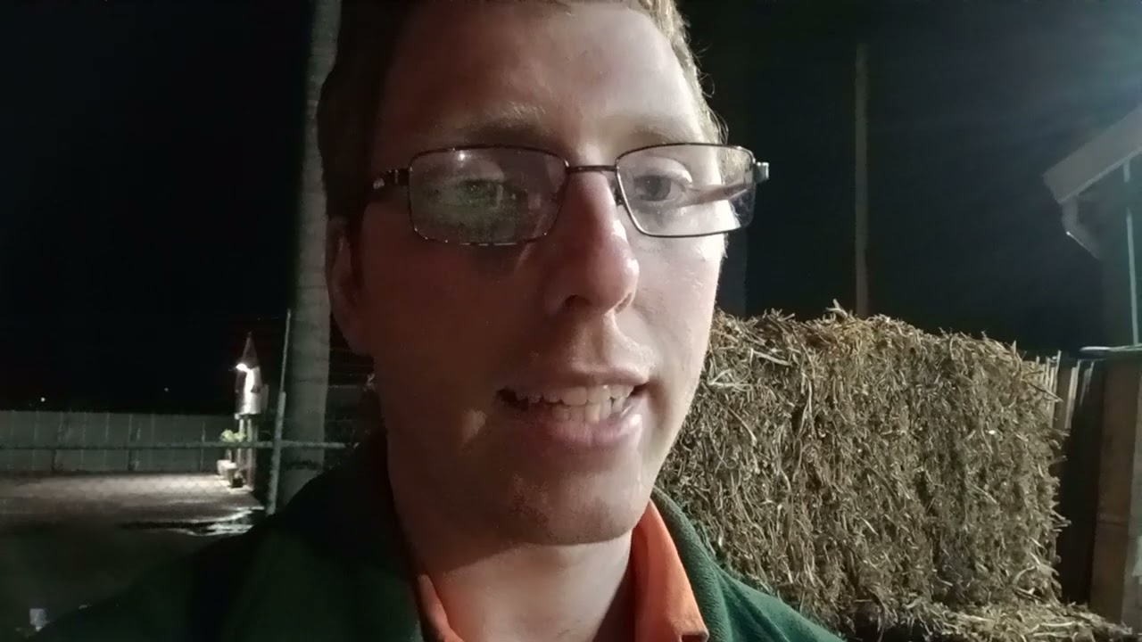How to Add Straw to Your Worm Farm