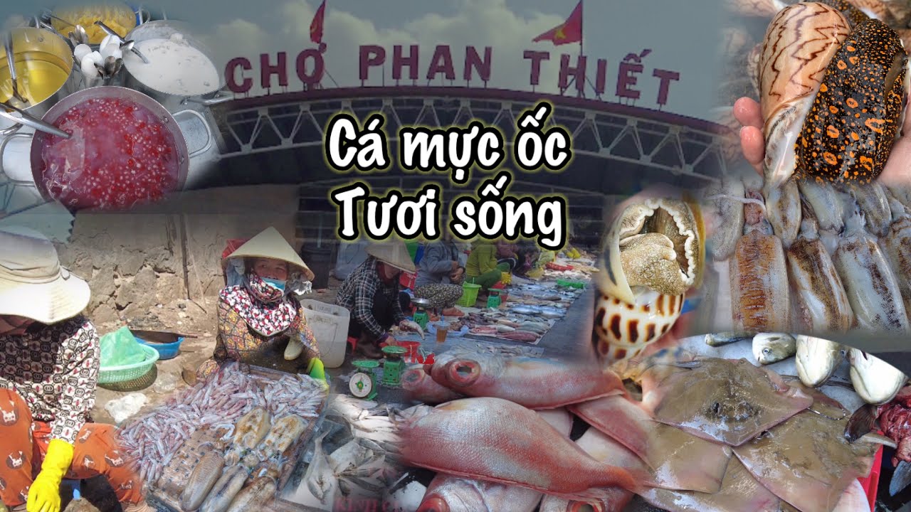 CHỢ HẢI SẢN PHAN THIẾT ĐƯỢC MÙA NHIỀU CÁ TƯƠI XANH , ĂN NHIỀU ĐẶC SẢN MÓN NGON BÌNH THUẬN QUÊ THÁI