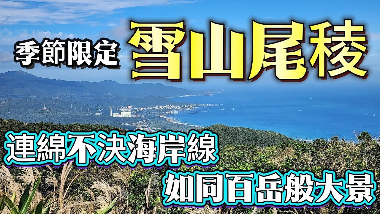 『季節限定』從新北走到宜蘭 | 東北角唯美海岸線 | 一望無際白色地毯 | 搭火車就能接駁