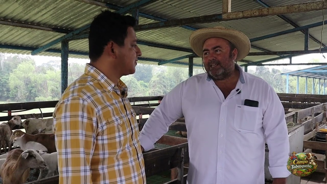 DOCUMENTAL DON ERIQUE MEDIA