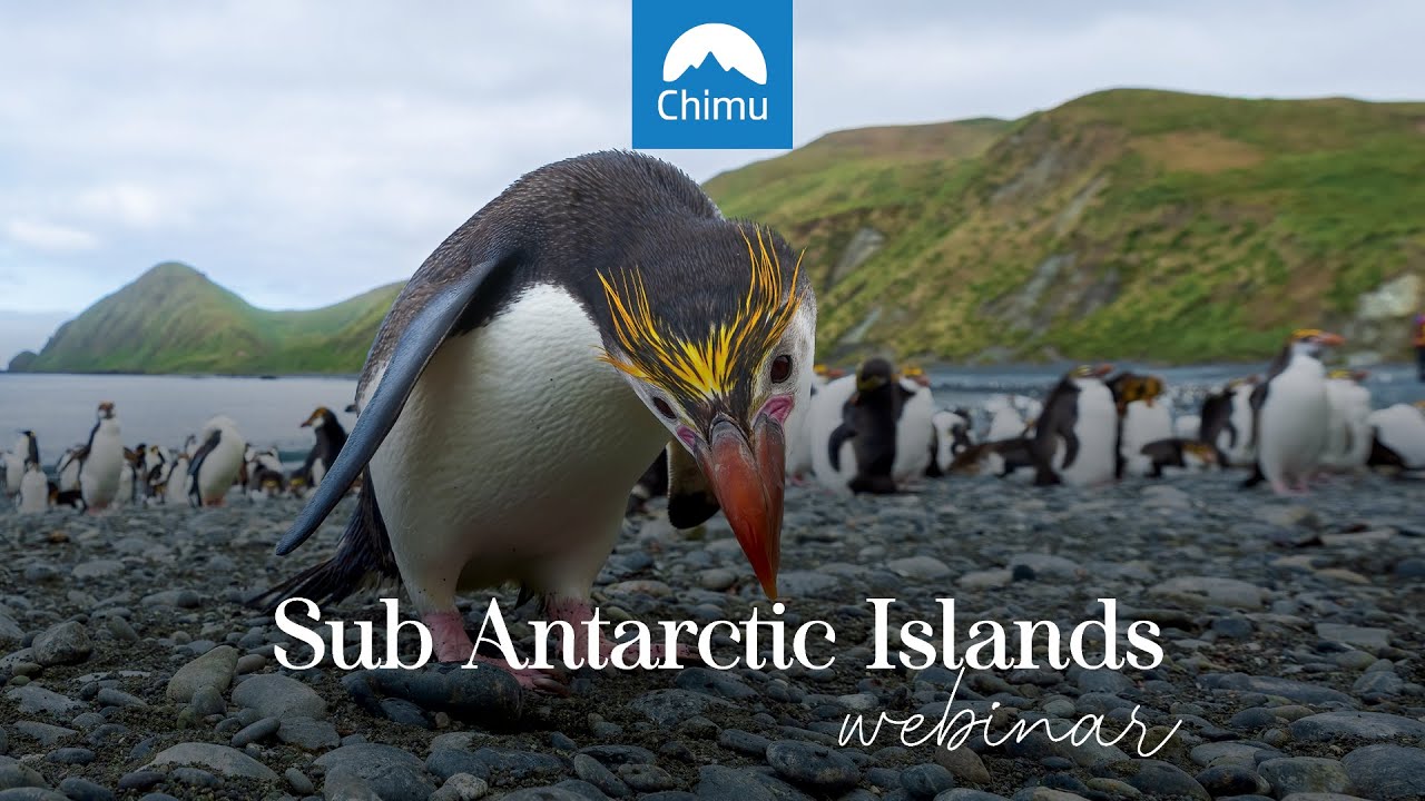 Cruising to the SubAntarctic Islands from Australia and New Zealand
