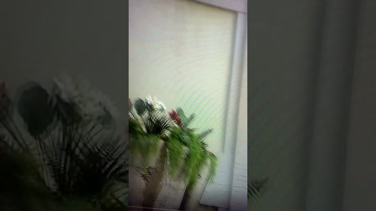 Disney WORLD. STAR WAR. ДИСНЕЙ . ЗВЕЗДЫ ВОЙН.