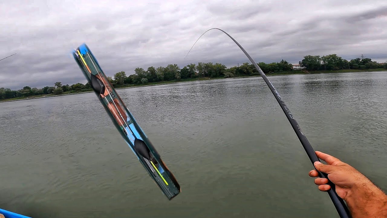 Bela Riba na Plovak I Pecaljku - Sava Ušce ( part 1 )