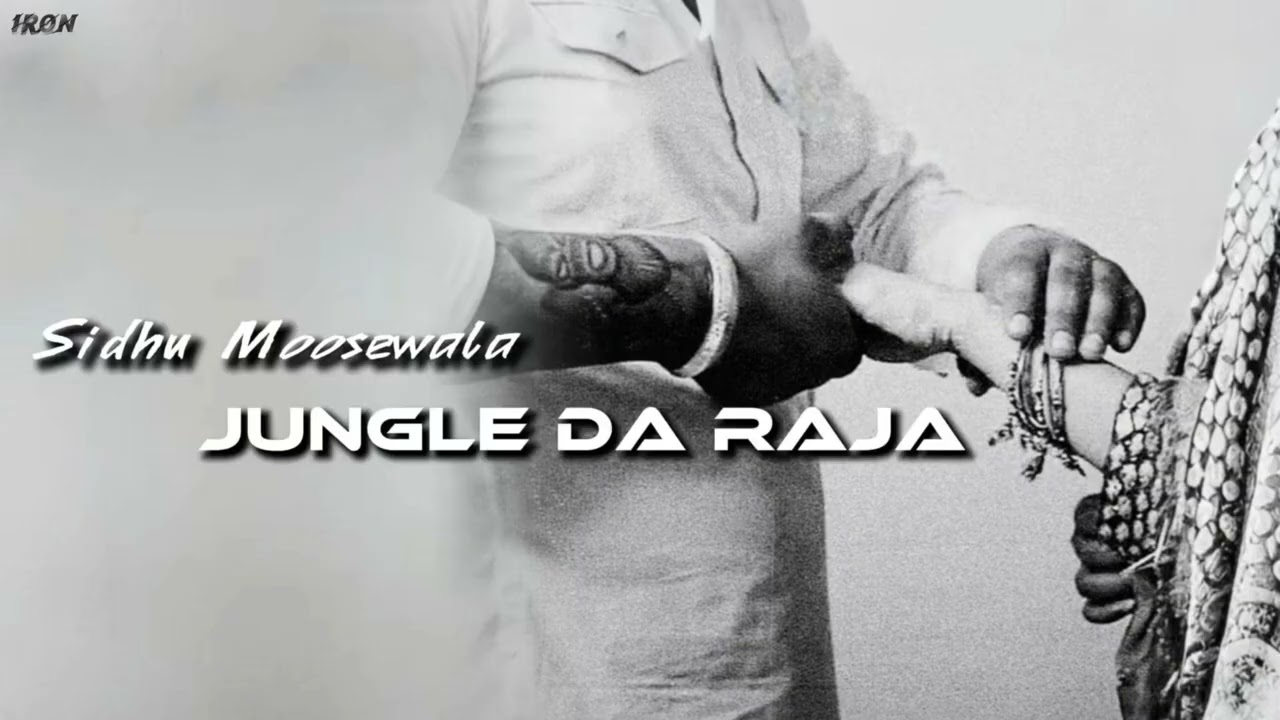 JUNGLE DA RAJA - SIDHU MOOSEWALA SIDHU AI VOICE ( TIGER ) MUSIC IRON BEATZ 
