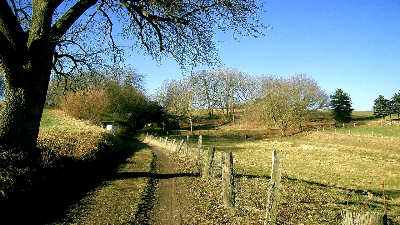 Drei Tage &Uuml;berwald