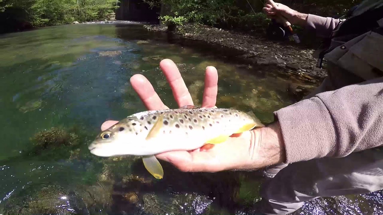 DE PESCA CON ALBERTO