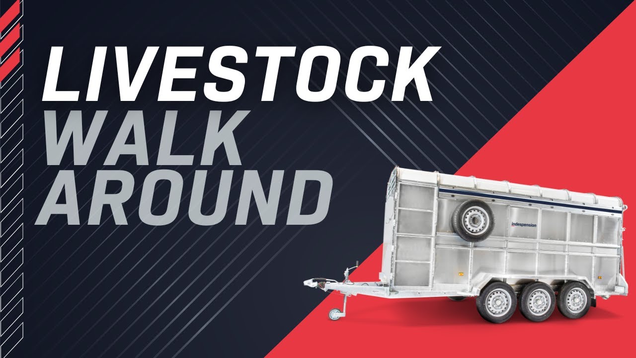 Livestock Trailer Walk Around