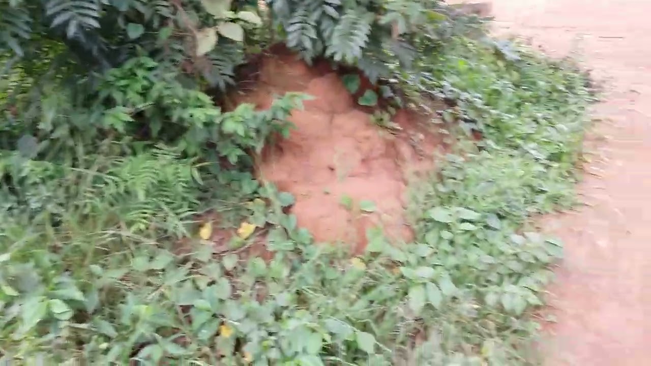 TUKUZANIYE ICYIBANZA KIGURISHWA120M GIFITE1200SQM HANO BUSANZA