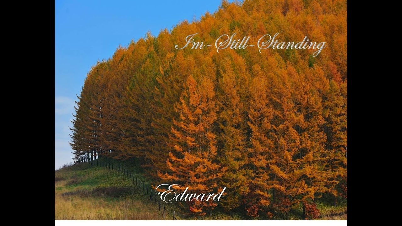 Im Still Standing
