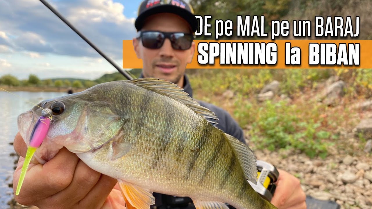 Spinning la BIBAN de pe MAL pe un BARAJ. AICI am PESCUIT primii mei BIBANI in COPILARIE