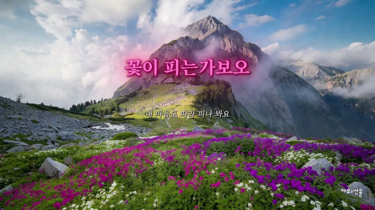 [ K-POP ] 꽃이 피는가보오ㅣ 감성발라드ㅣ봄이온다ㅣ남과여ㅣ설렘주의보ㅣ