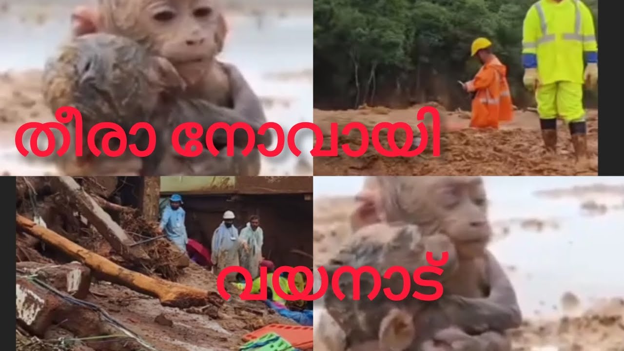 തണുത്തുറച്ച് വയനാട് 😔ഉരുൾ പൊട്ടൽ @Nissah vlogs #wayanad