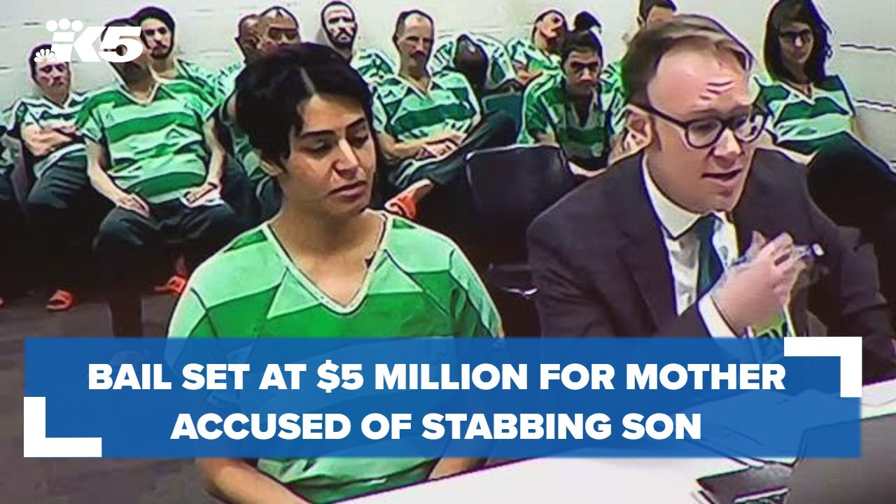 Bail set at $5 million for mother accused of stabbing 4-year-old more than a dozen times