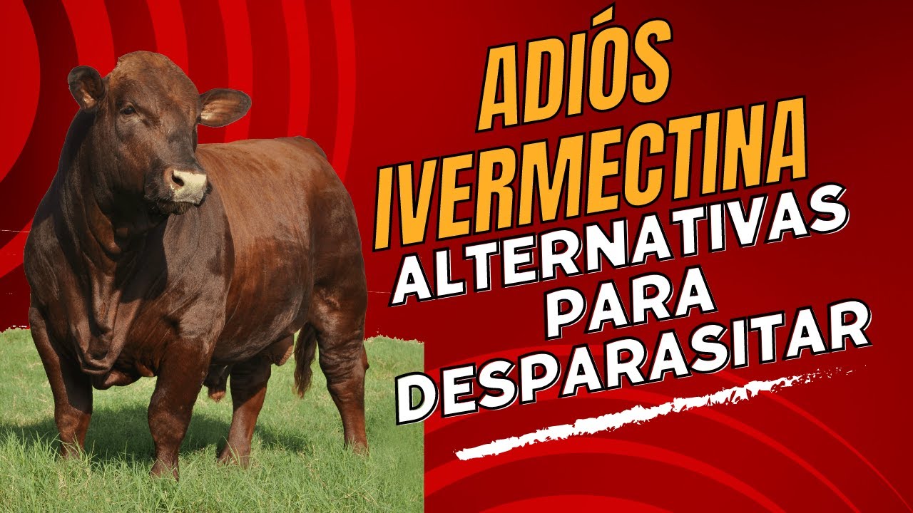 ADIÓS A LA IVERMECTINA: DESCUBRE ALTERNATIVAS PARA DESPARASITAR TU GANADO / DESPARASITAR GANADO