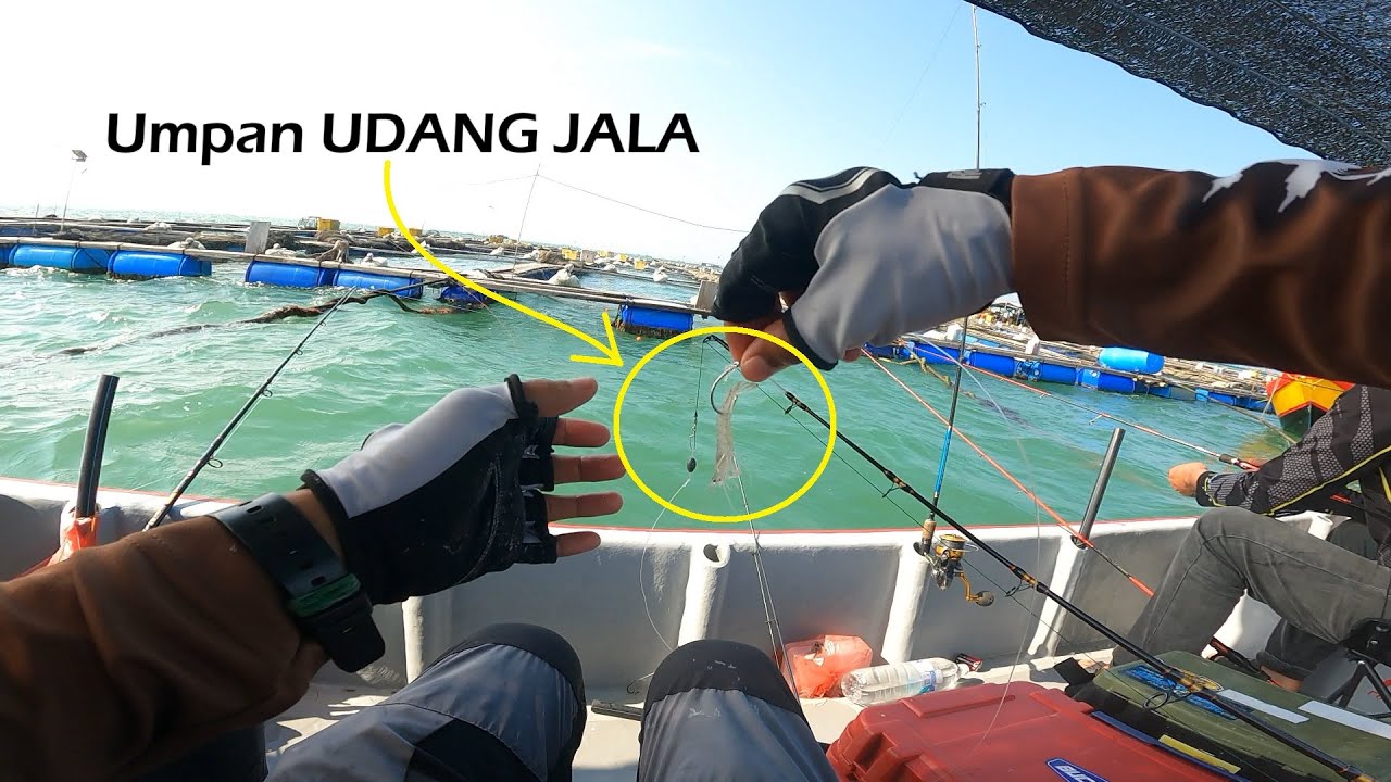 Memburu senangin kuala gula