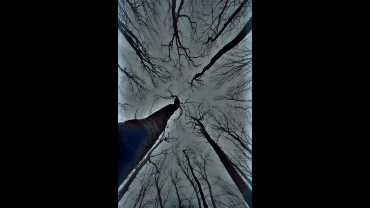 Rain status🌧️ Sun sathiya song status ❣️Full screen status | Lofi song status | Nature status ❤️🥀