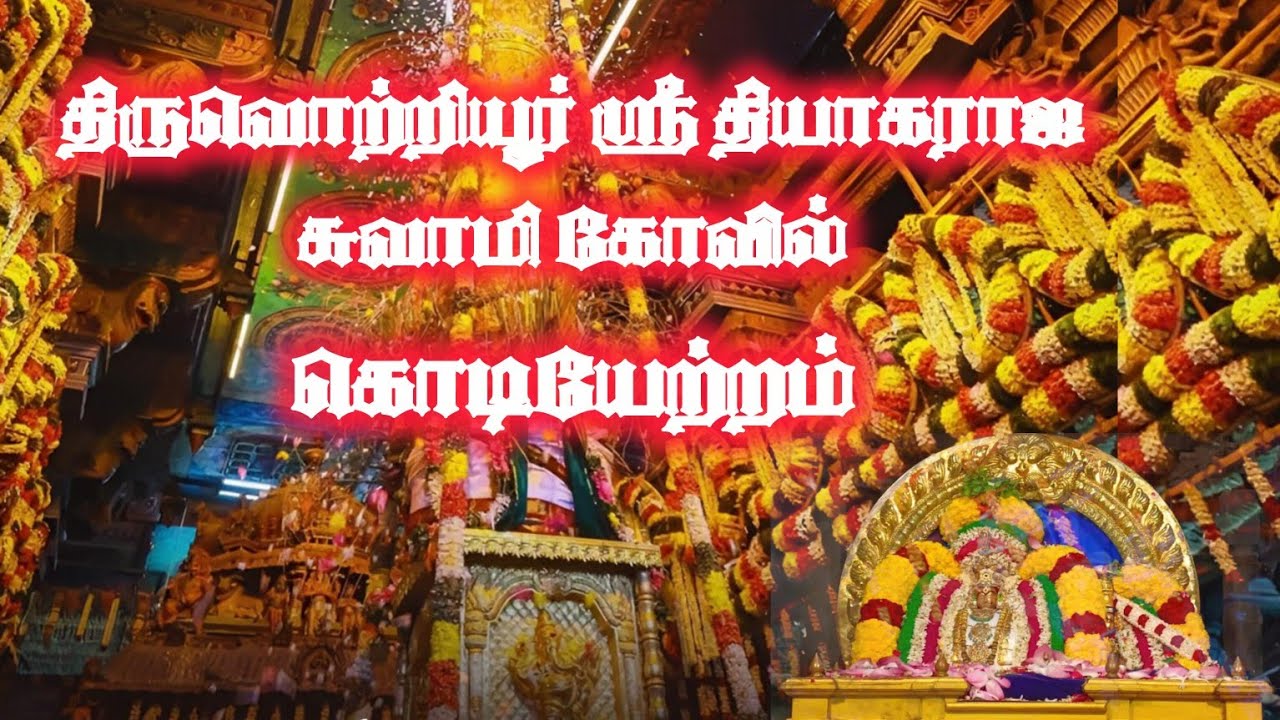 திருவொற்றியூர் ஸ்ரீ தியாகராஜ சுவாமி கோவில் கொடியேற்றம் #bramotsavam  @omkarbhakthi