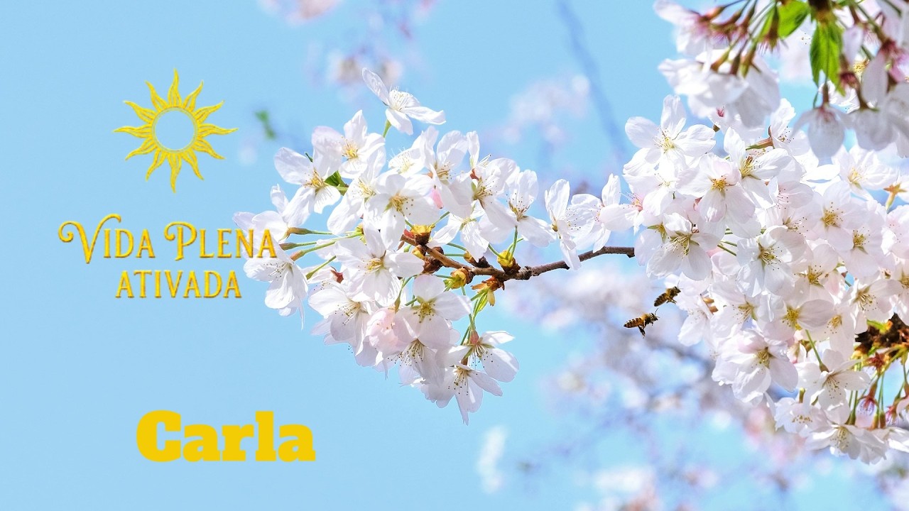 Ho'oponopono 108 repetições para a 