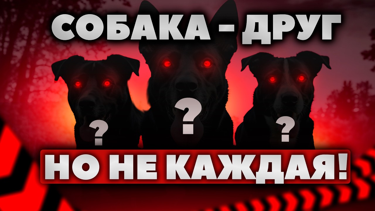 Не покупай таких собак! Самые худшие и опасные породы собак